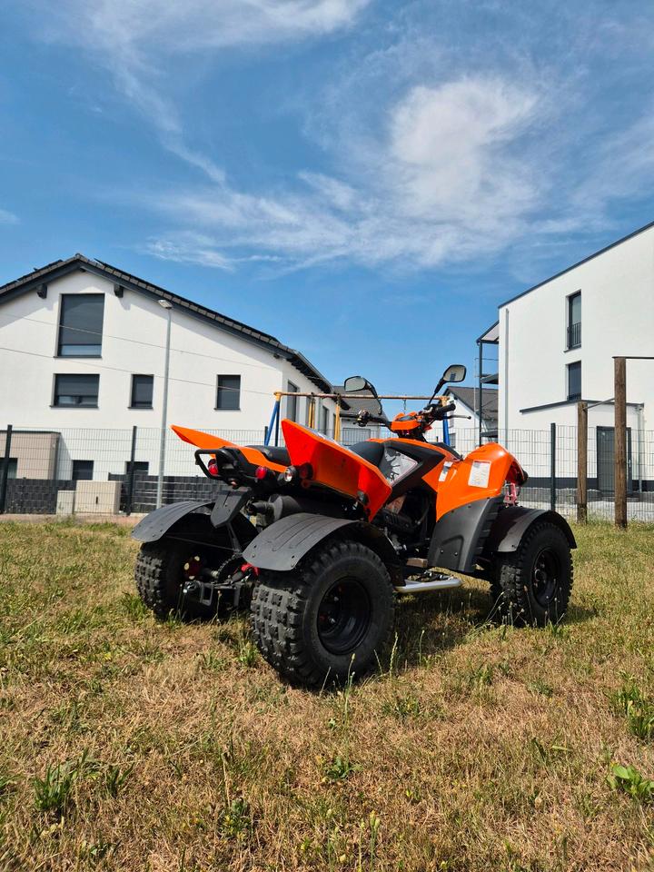 Weitere Motorräder Adly Moto ATV-500S – Neuwertig, 2920km, sofort fahrbereit! 2014 — rear view