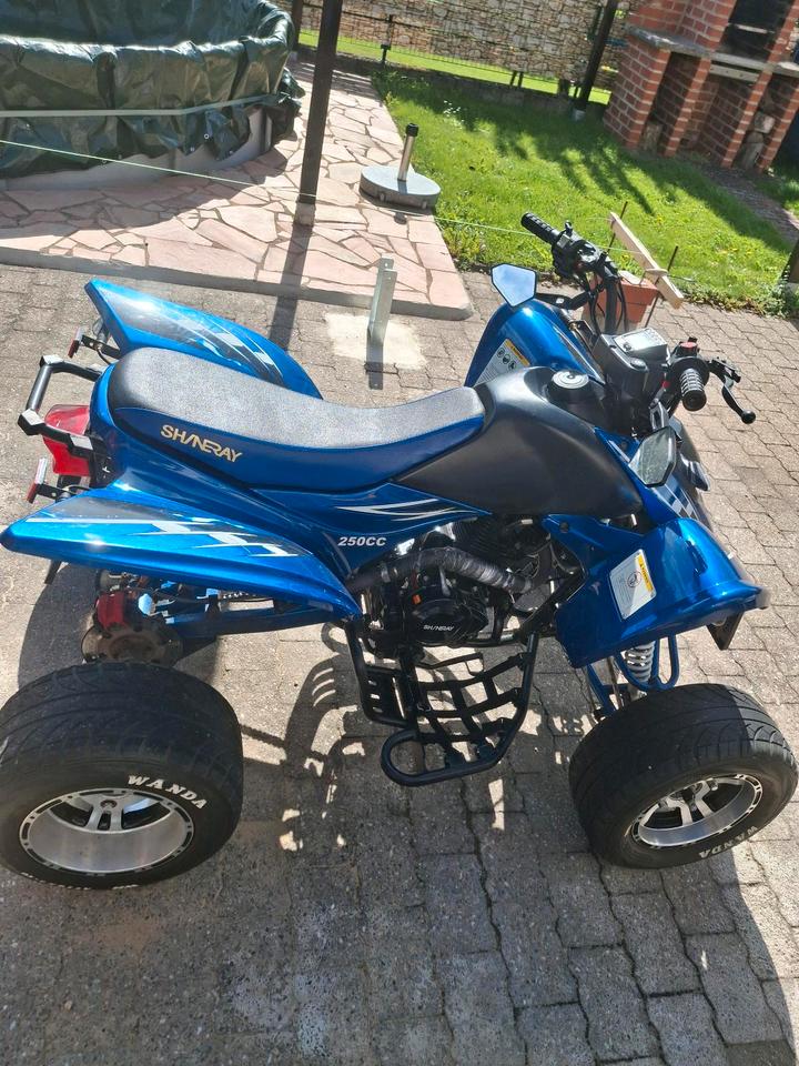  Gelöscht • Shineray XY250ST XE 2012 — двигун 250 ccm