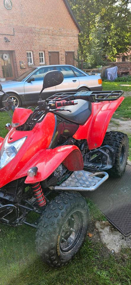 Kymco Gelöscht • Kymco kxr 250 defekt, TÜV Neu gerne auch tauschen 2004 — фото 6