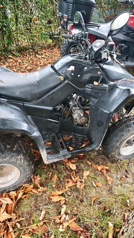 Kymco mxu 250 Quad 2005 — rear view