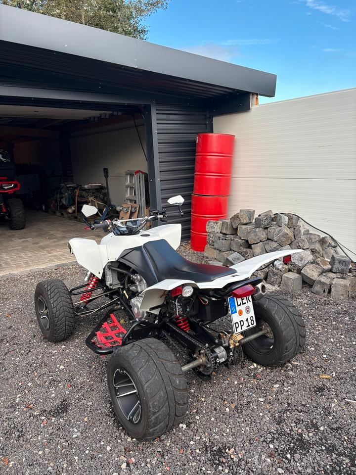  Smc Explorer thrasher 520 Quad/keine Raptor 2011 — вигляд ззаду