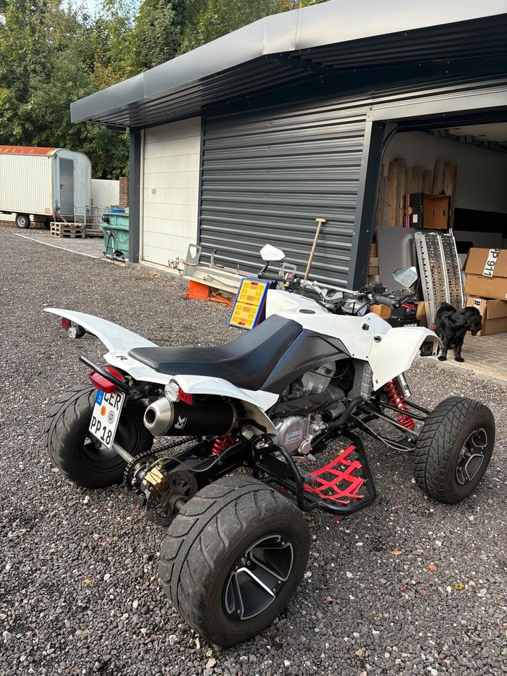  Smc Explorer thrasher 520 Quad/keine Raptor 2011 — салон
