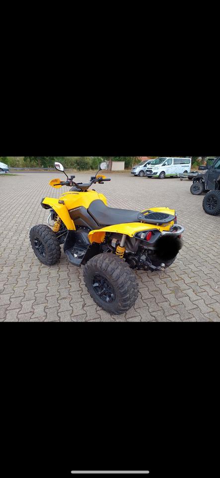  Gelöscht • Can Am Renagate 2014 — rear view