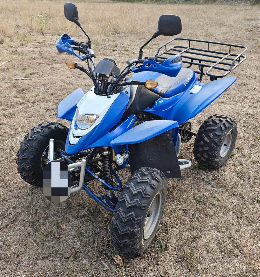 Weitere Motorräder Gelöscht • Shineray XY250STXE Quad 2010 — вигляд ззаду
