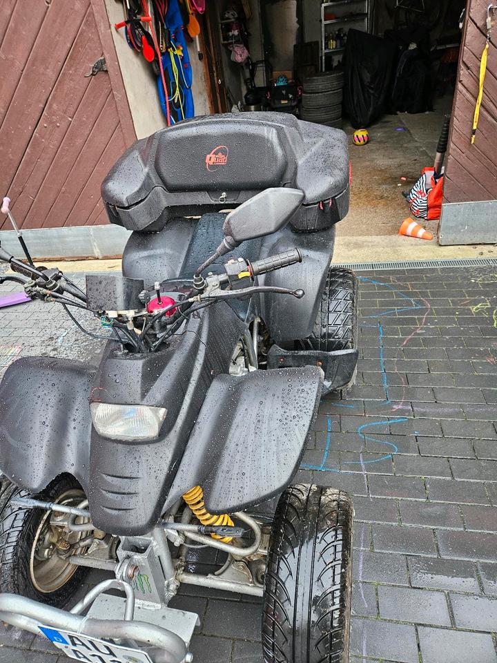 Weitere Motorräder Quad zu verkaufen 2006 — rear view