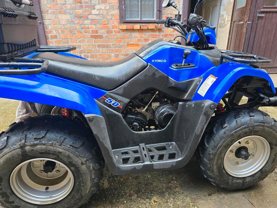 Kymco MXU 50 Quad 2014 — rear view