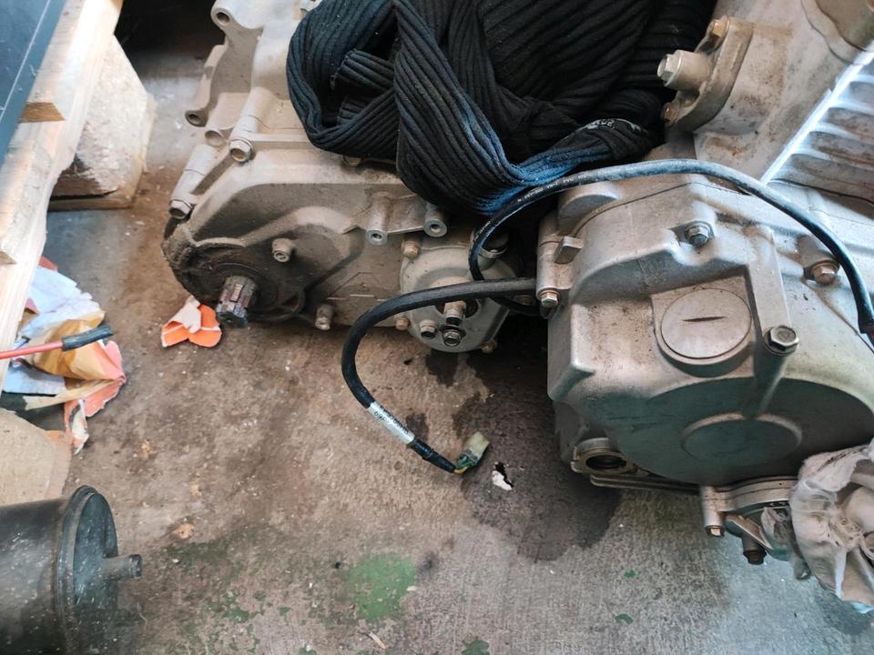 Weitere Motorräder Aeon Cobra 400 Quad mit Kurbelwellenschaden 2015 — photo 6
