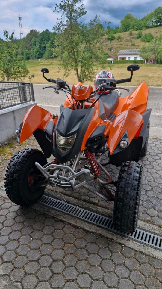 Weitere Motorräder qad atv adly 320 Tausch gegen ein Auto 2013 — rear view