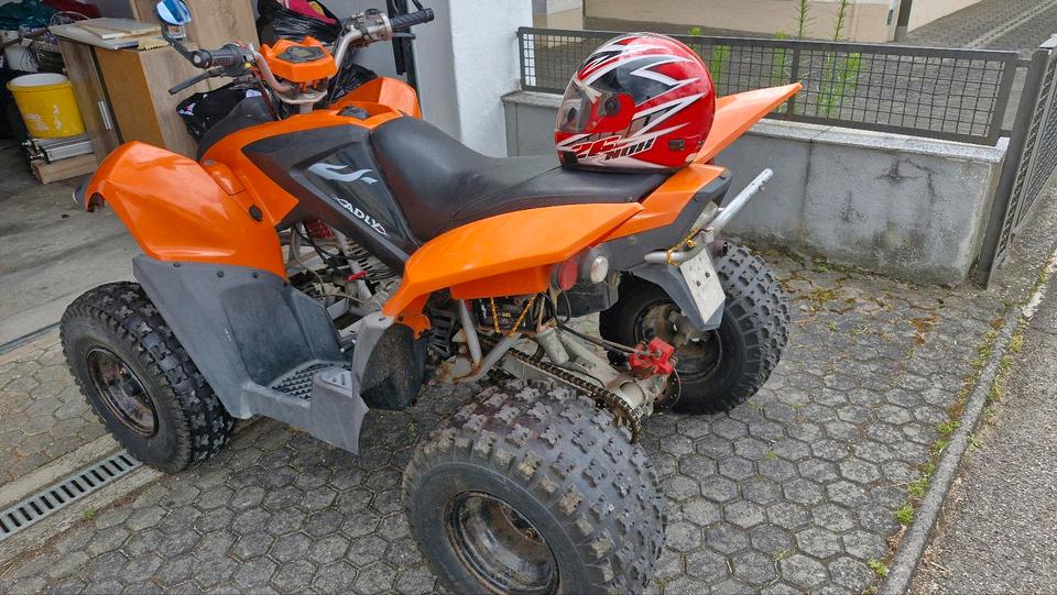 Weitere Motorräder qad atv adly 320 Tausch gegen ein Auto 2013 — photo 5