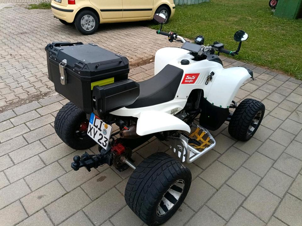 Weitere Motorräder Beeline bestia 5.5 LOF quad 2013 — вигляд ззаду