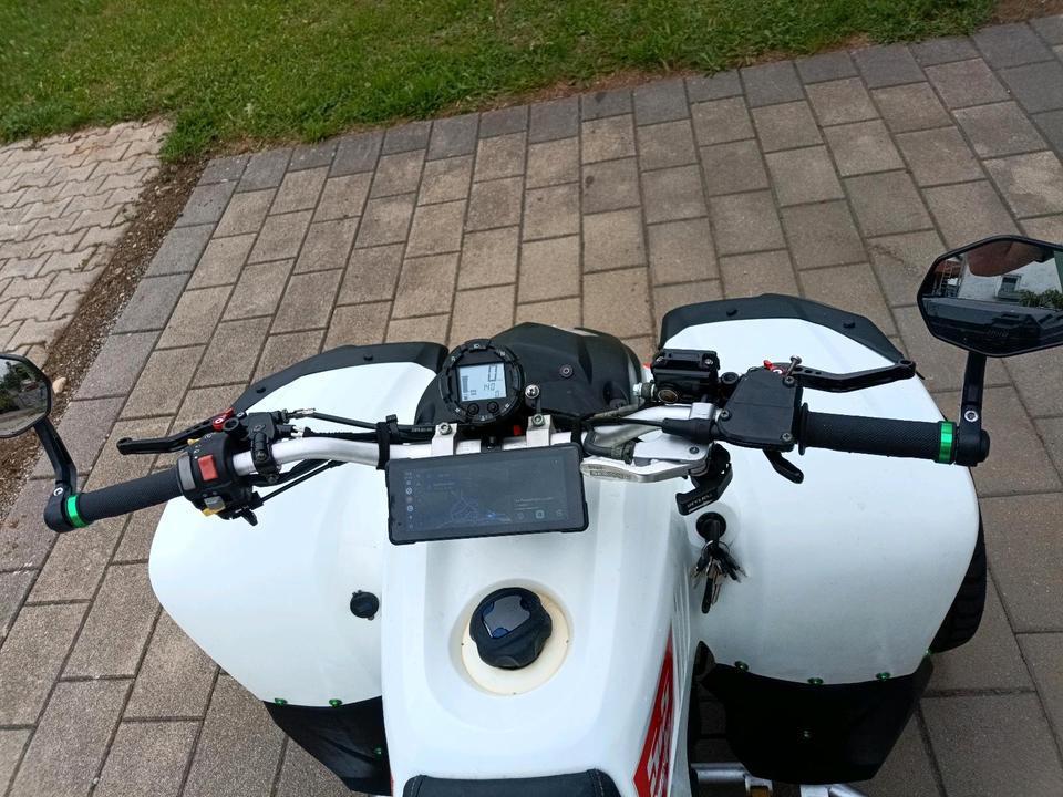 Weitere Motorräder Beeline bestia 5.5 LOF quad 2013 — салон