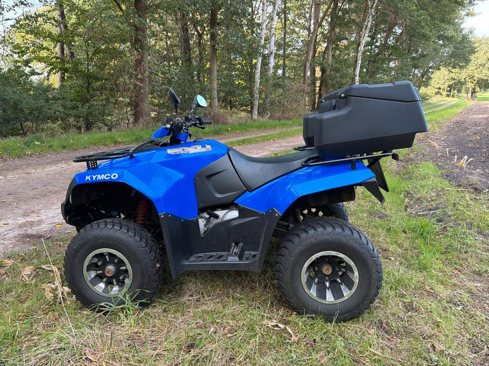 Kymco Gelöscht • Verkaufe mein quad 2012 — вигляд ззаду