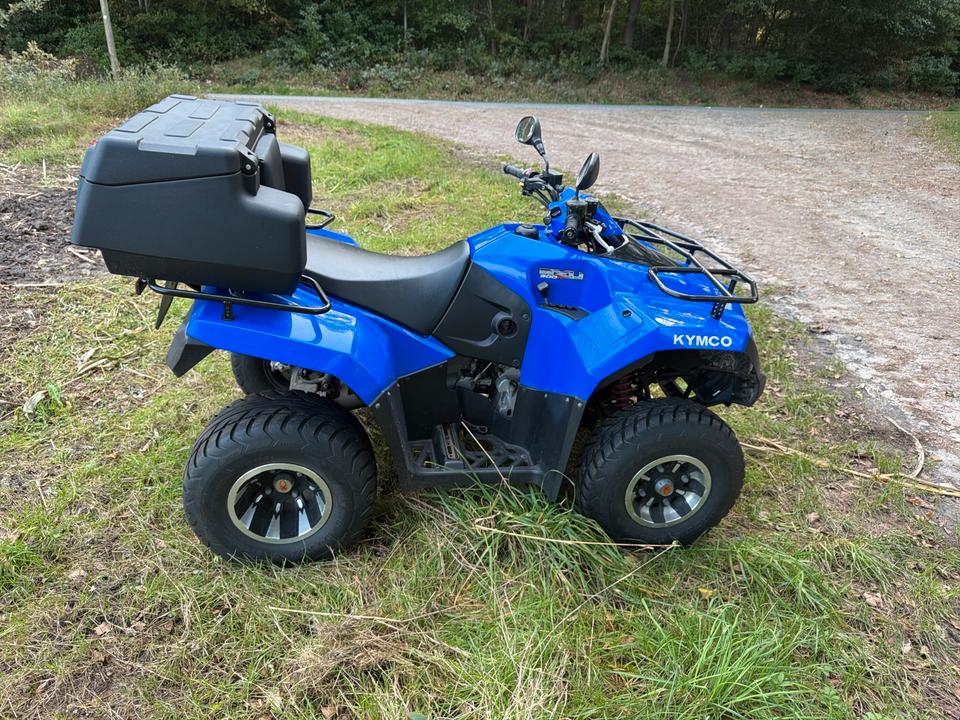 Kymco Gelöscht • Verkaufe mein quad 2012 — двигун 271 ccm