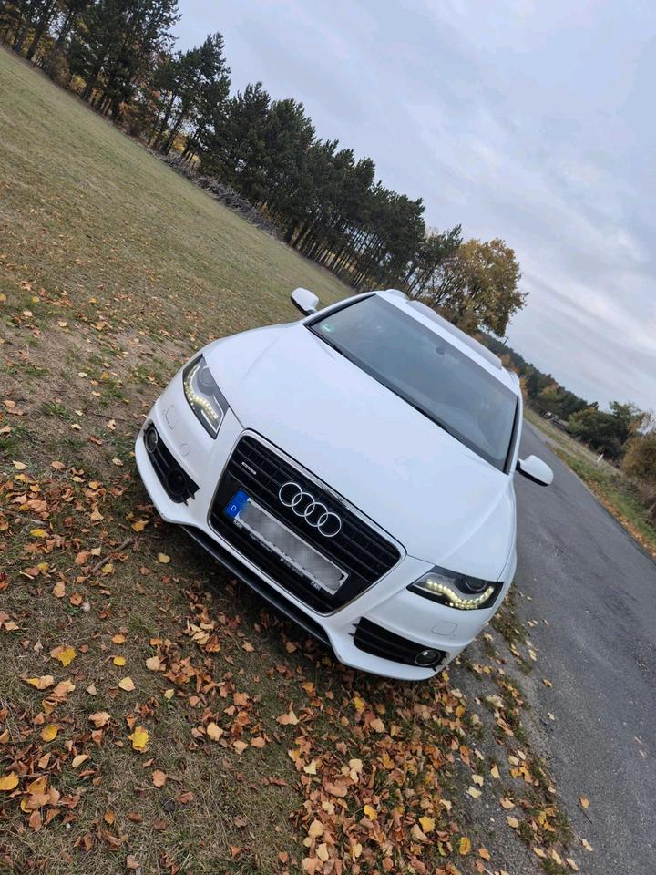 Audi A4 2011 — вигляд ззаду