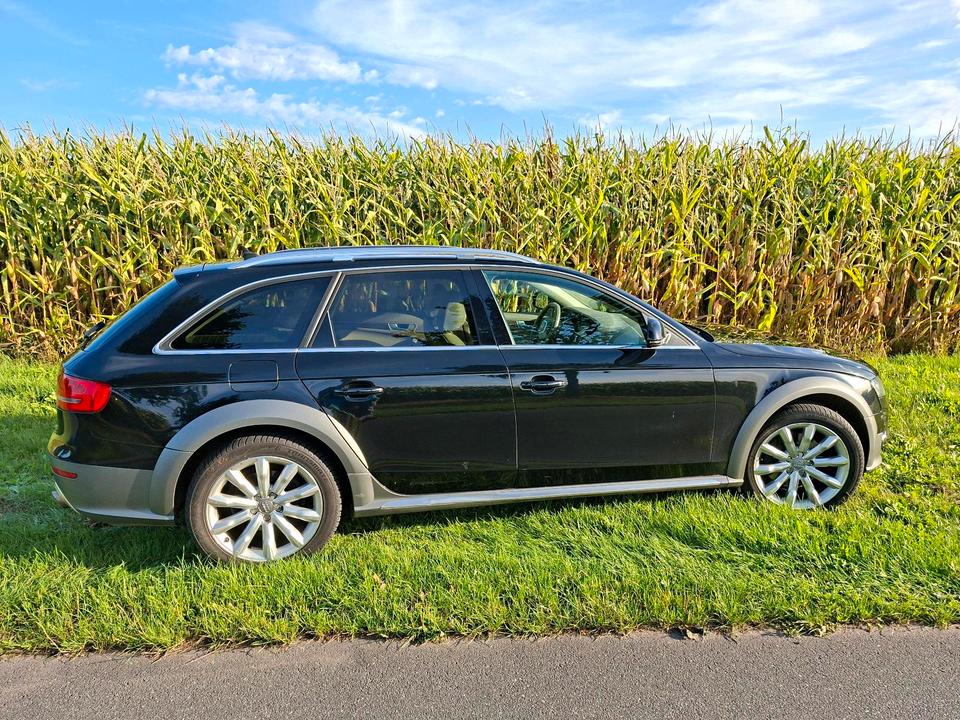 Audi A4 2010 — вигляд ззаду