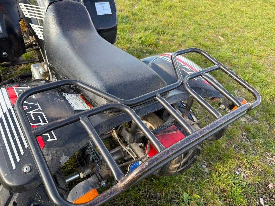 Weitere Motorräder Quad ATV SMC RAM 170 schwarz 2004 — фото 6