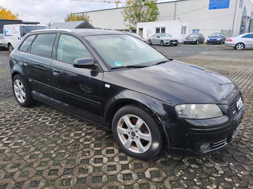 Audi A3 2006 — rear view