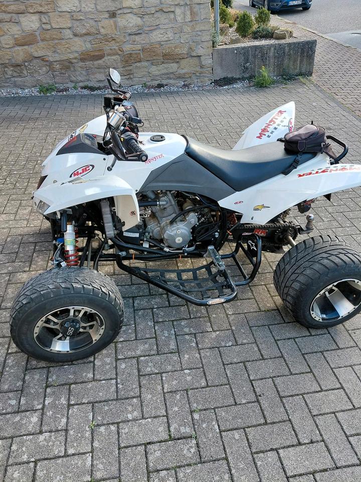 Weitere Motorräder smc canyon 2013 — rear view