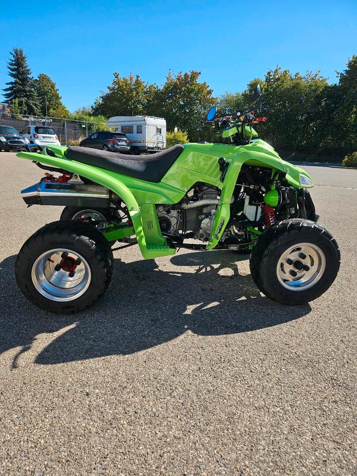 Weitere Motorräder Quad Luxxon Adly 320 2009 — вигляд ззаду