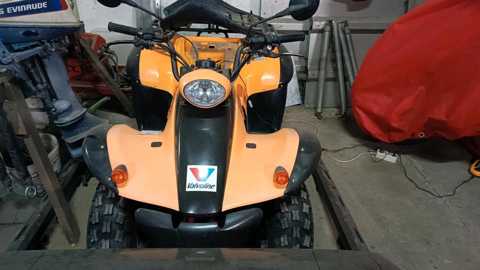 Kymco MX 50 Quad gelb --WINTERPREIS-- 2006 — rear view