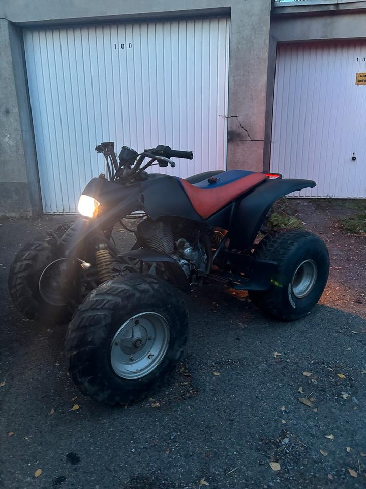 Weitere Motorräder Gelöscht • Quad Smc barrosa 250cc 2007 — вигляд ззаду