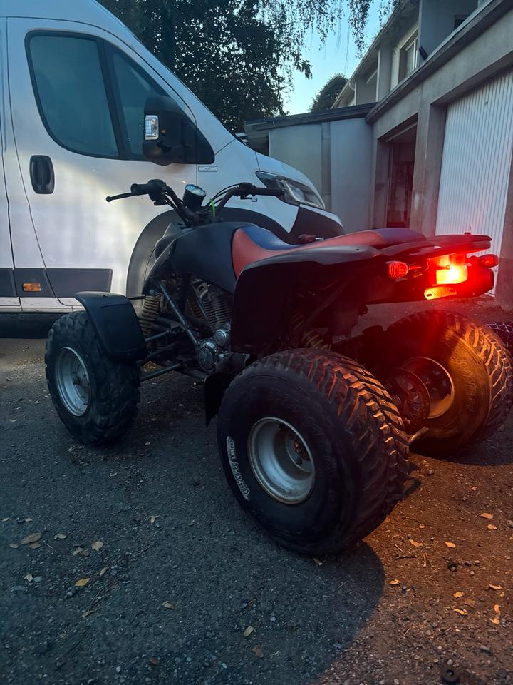 Weitere Motorräder Gelöscht • Quad Smc barrosa 250cc 2007 — салон