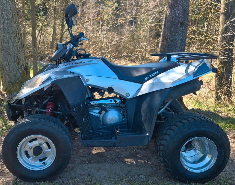 Kymco E-ton Vector Quad 300 MXU ATV tgb cfmoto adly 2012 — rear view