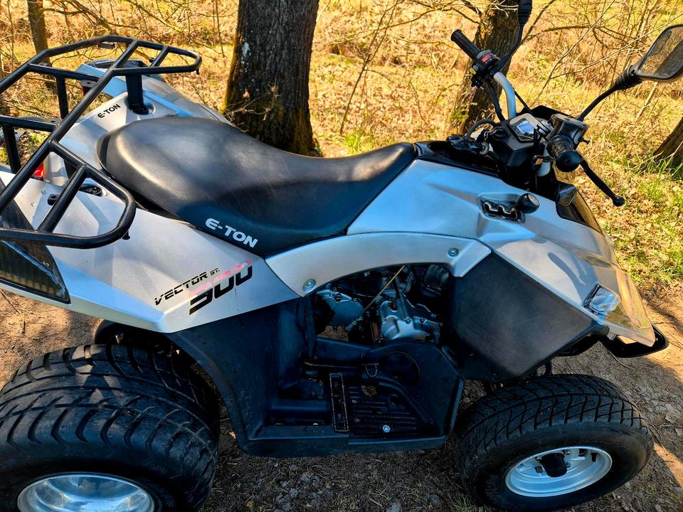 Kymco E-ton Vector Quad 300 MXU ATV tgb cfmoto adly 2012 — photo 8