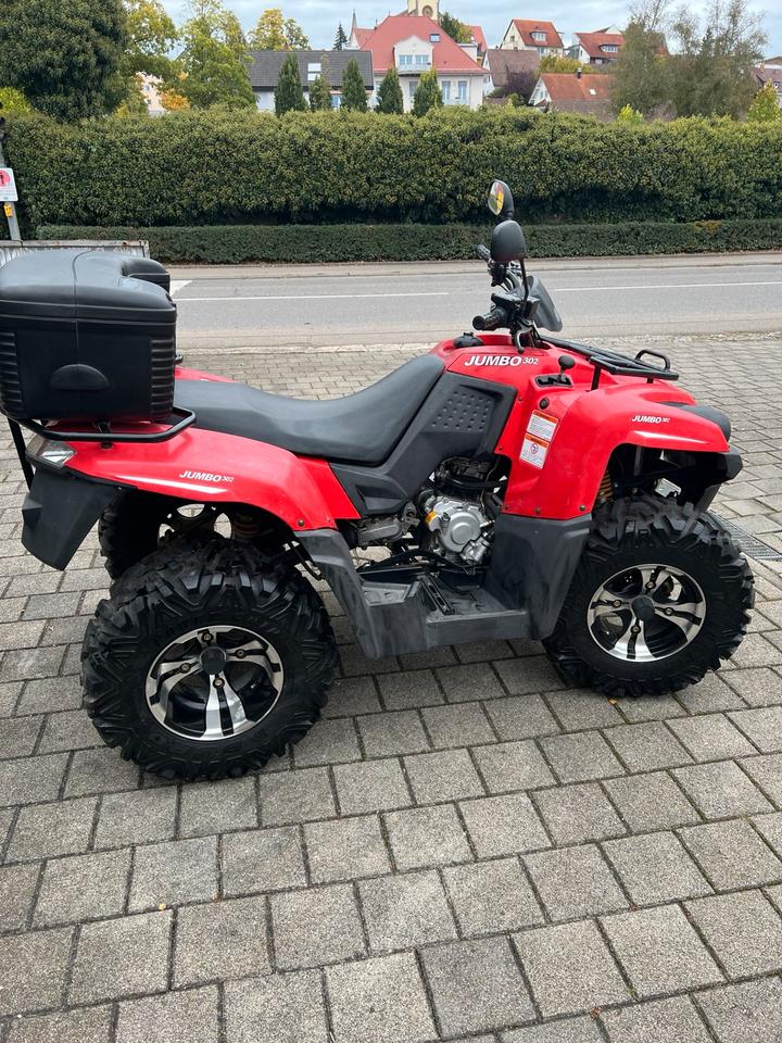 Weitere Motorräder Quad / Geländequad SMC TÜV 4/27 - Technisch super 2011 — engine 288 ccm