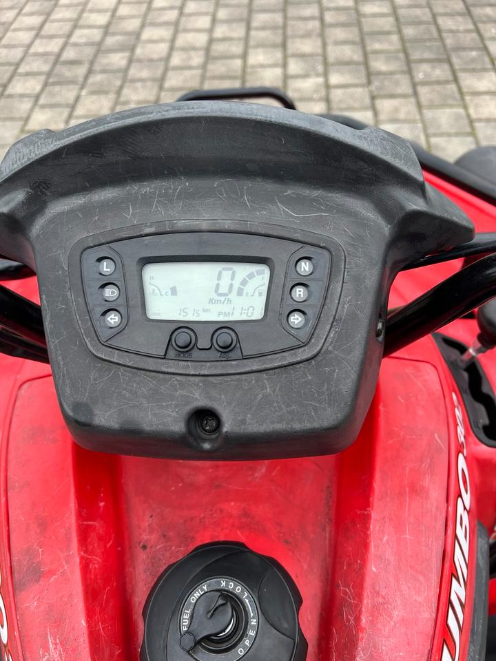 Weitere Motorräder Quad / Geländequad SMC TÜV 4/27 - Technisch super 2011 — photo 9
