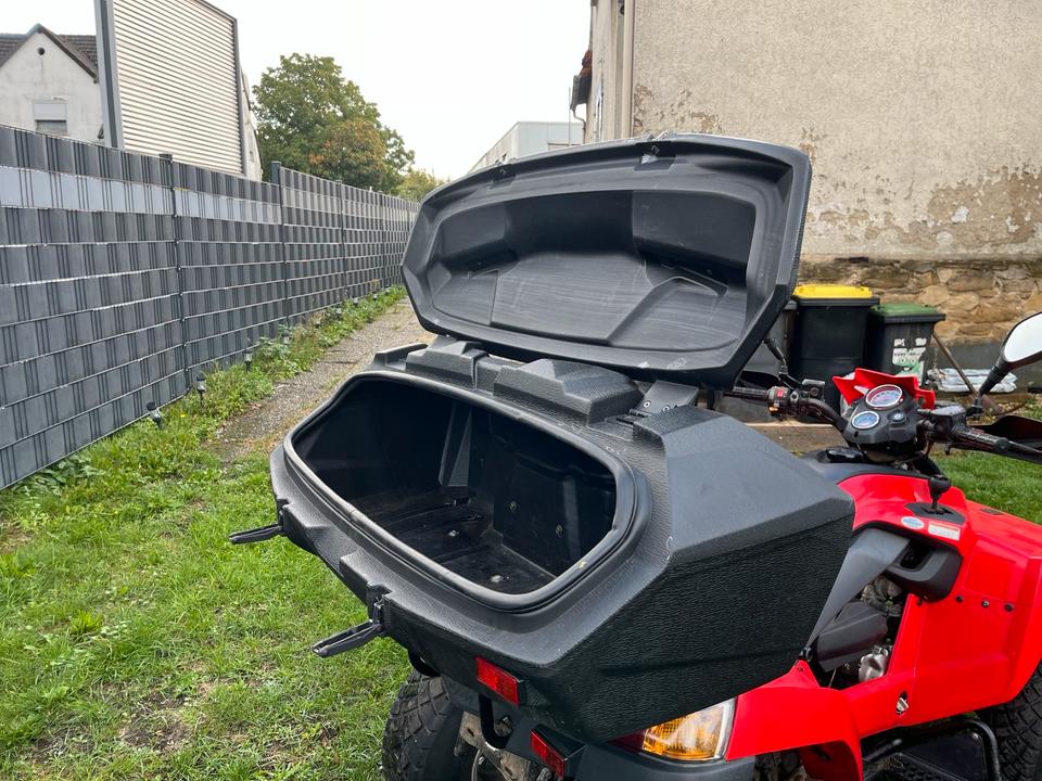 Weitere Motorräder QUAD SYM 250*AUTOMATIK*AHK*Beschreibung Lesen 2008 — photo 13