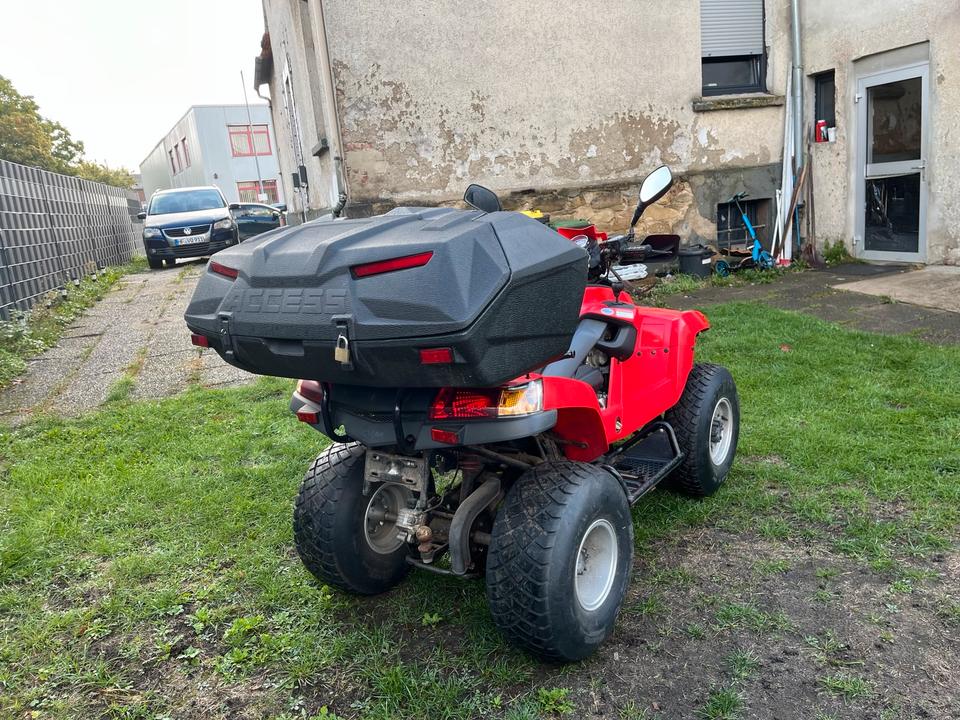 Weitere Motorräder QUAD SYM 250*AUTOMATIK*AHK*Beschreibung Lesen 2008 — photo 6