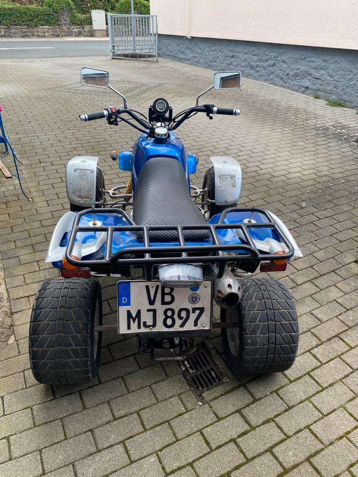 Weitere Motorräder Quad SMC RAM 2006 — engine 250 ccm