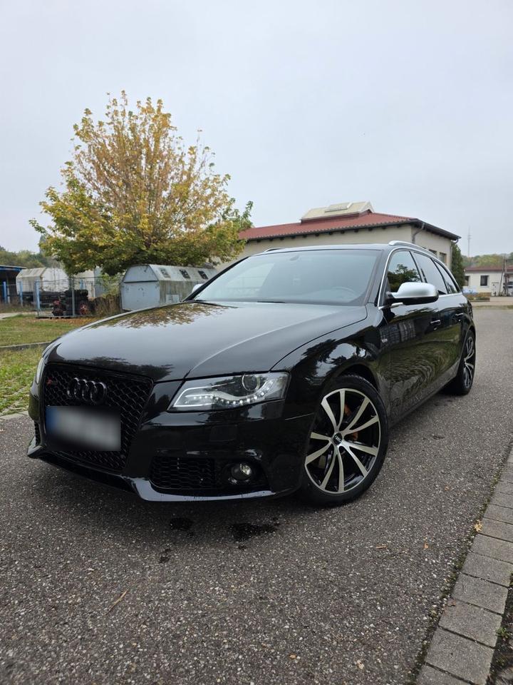Audi A4 2010 — вигляд ззаду