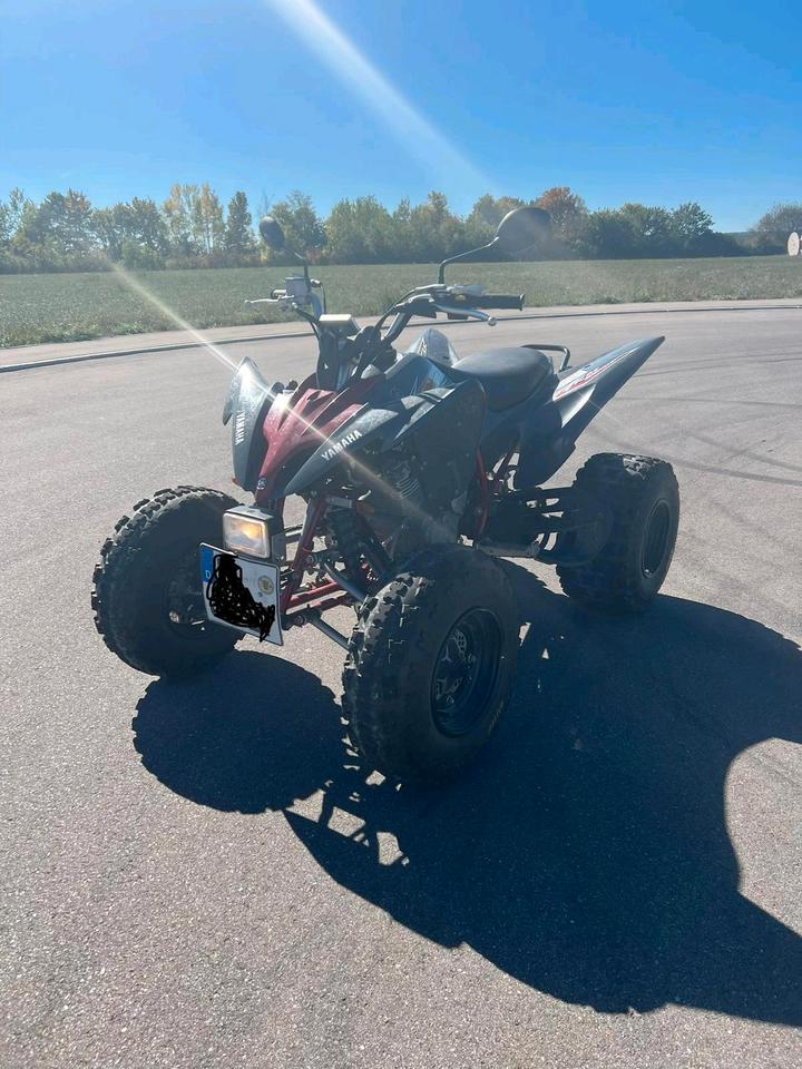 Yamaha yfm 250r quad 2009 — rear view