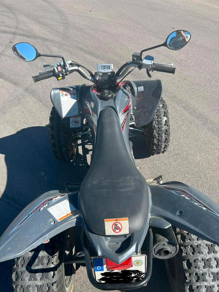 Yamaha yfm 250r quad 2009 — interior
