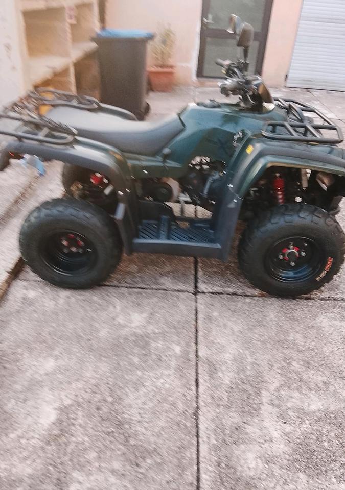  Quad Hercules 2012 — rear view