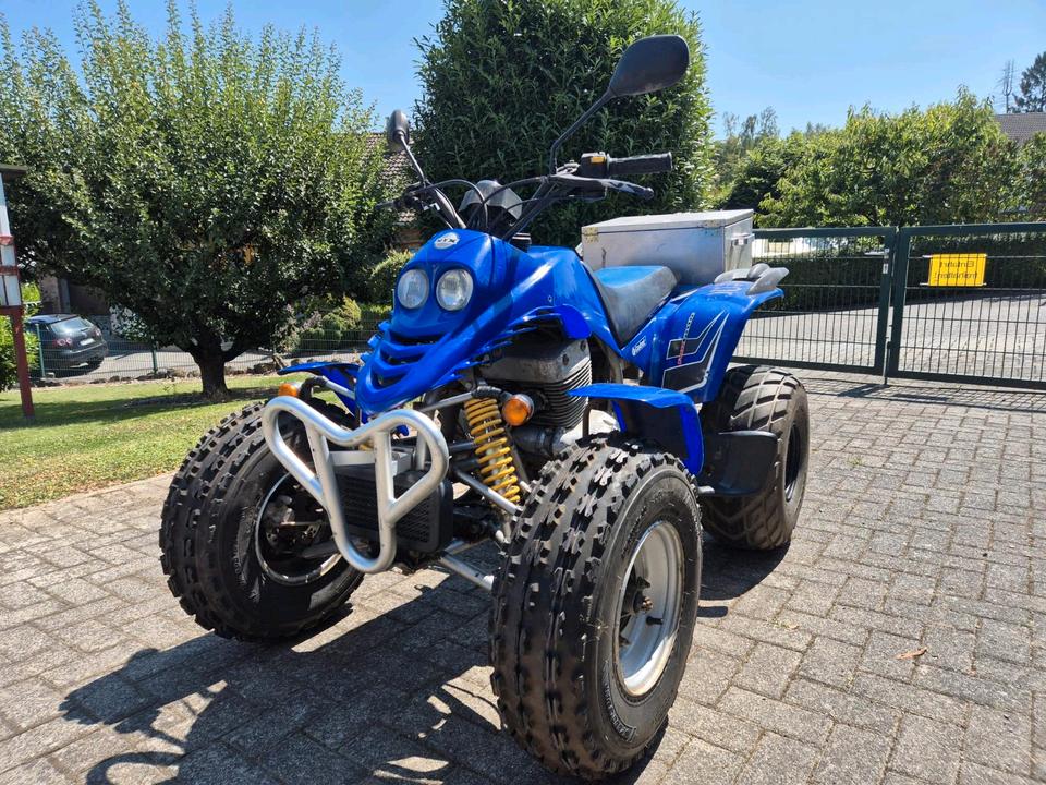 SMC Rex 250 Quad 2006 — vehicle for AFU Ukraine