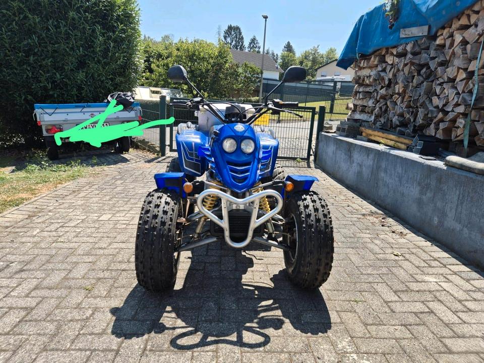  SMC Rex 250 Quad 2006 — rear view
