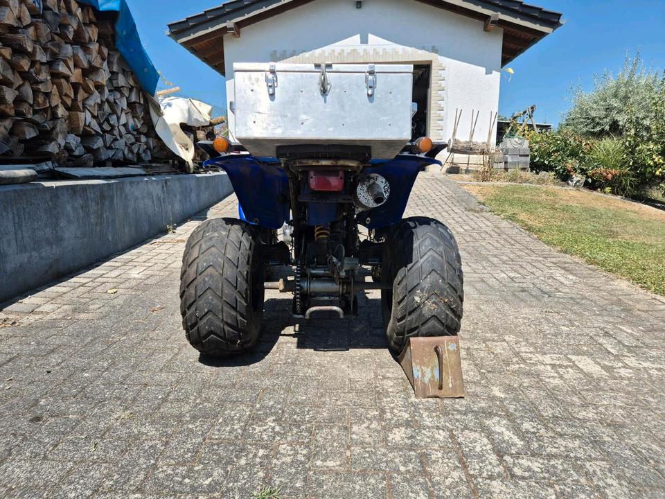  SMC Rex 250 Quad 2006 — engine 250 ccm