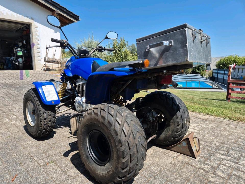  SMC Rex 250 Quad 2006 — photo 5