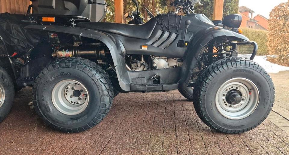 Weitere Motorräder Linhai 260cc explorer Quad 2004 — photo 11