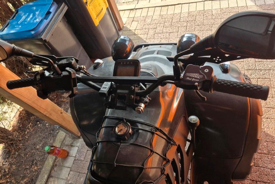 Weitere Motorräder Linhai 260cc explorer Quad 2004 — rear view