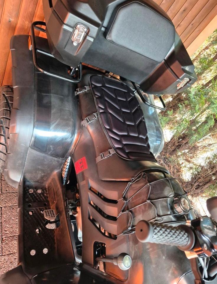 Weitere Motorräder Linhai 260cc explorer Quad 2004 — engine 257 ccm