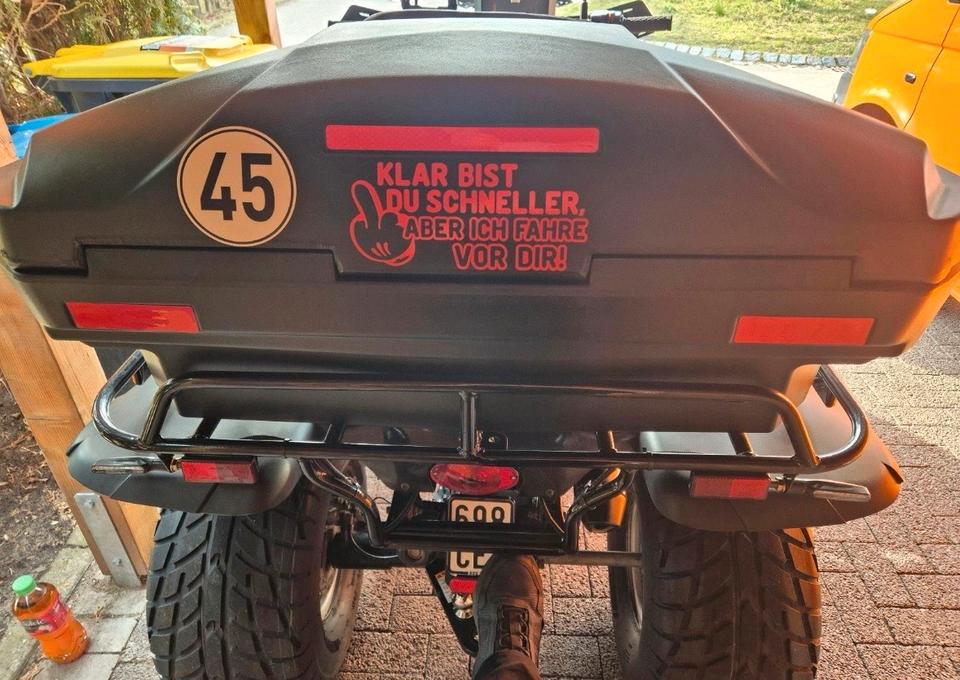 Weitere Motorräder Linhai 260cc explorer Quad 2004 — photo 8