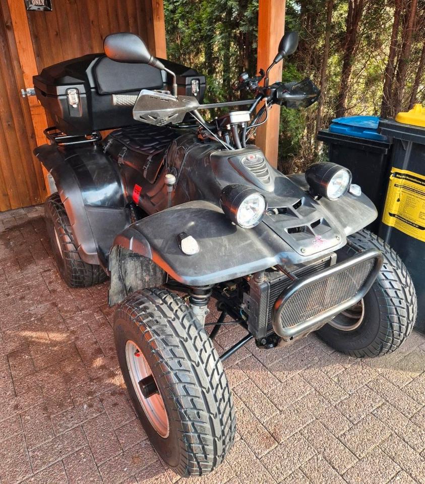 Weitere Motorräder Linhai 260cc explorer Quad 2004 — photo 9