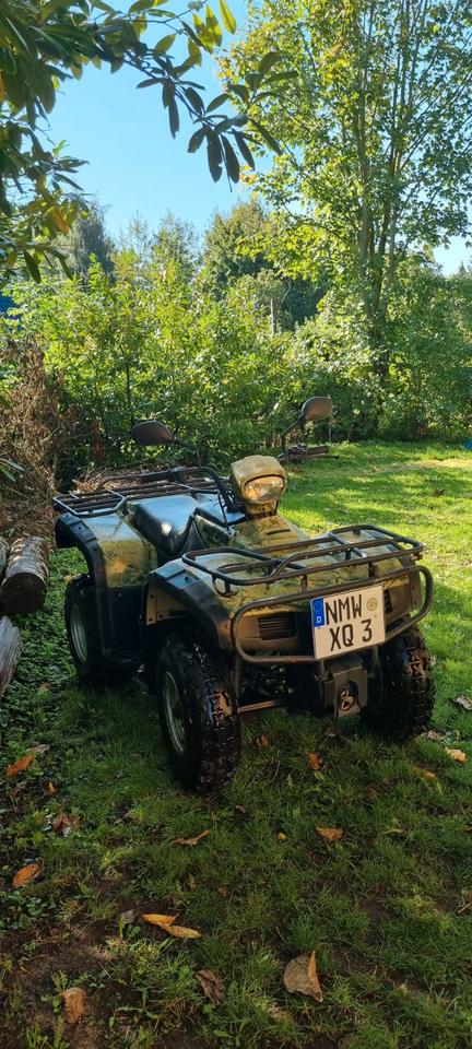 Weitere Motorräder Quad Loncin 230ccm, 2007