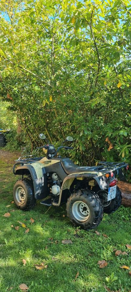 Weitere Motorräder Quad Loncin 230ccm 2007 — rear view