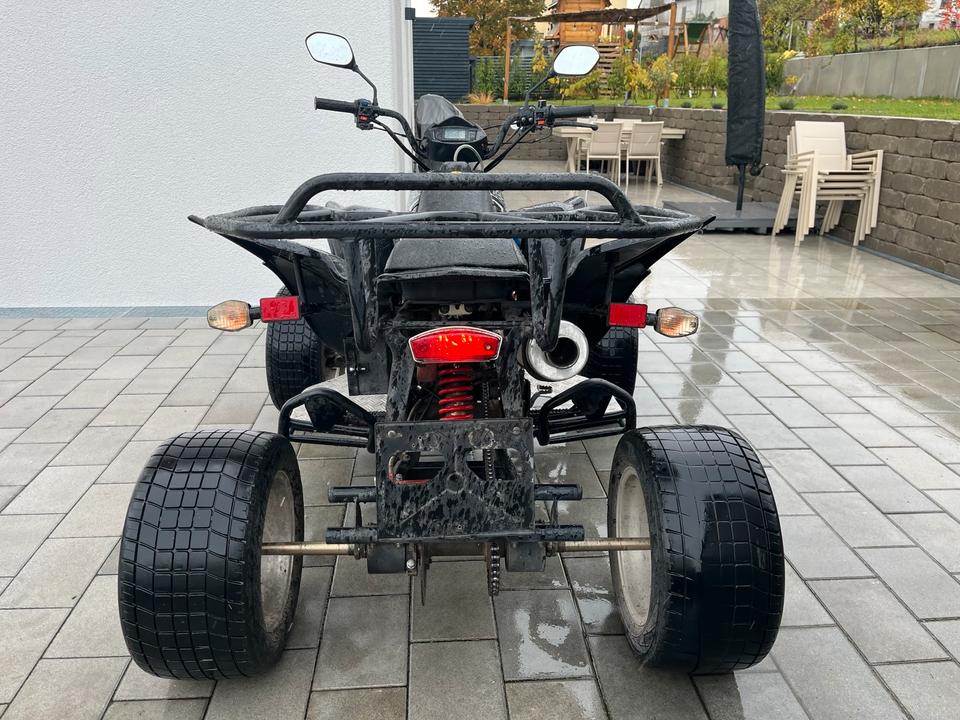 Weitere Motorräder Quad SHINERAY XY250ST-9C 2010 — фото 10