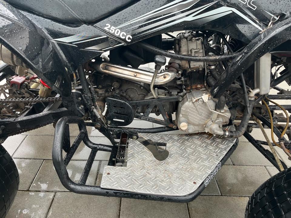 Weitere Motorräder Quad SHINERAY XY250ST-9C 2010 — фото 8